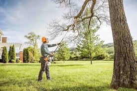 Professional  Tree Services in Silver Lake, KS